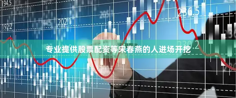 专业提供股票配资等宋春燕的人进场开挖