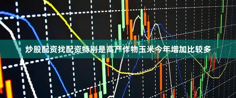 炒股配资找配资特别是高产作物玉米今年增加比较多