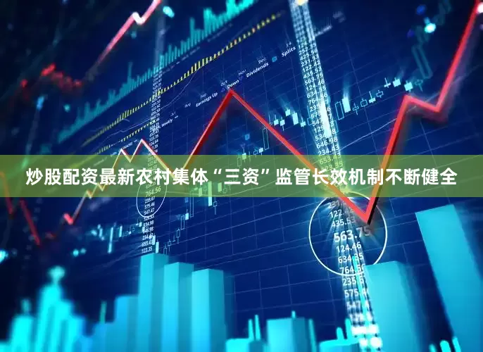 炒股配资最新农村集体“三资”监管长效机制不断健全