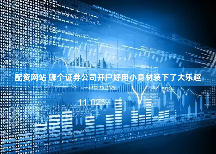 配资网站 哪个证券公司开户好用小身材装下了大乐趣